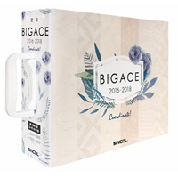 GIẤY DÁN TƯỜNG NHẬT BẢN BIGACE 2016-2018