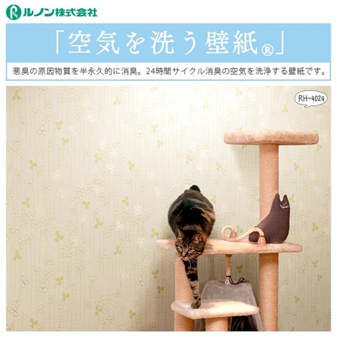 Giấy dán tường Nhật RH-4024
