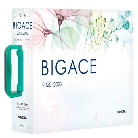 Giấy Dán Tường Nhật Bản BIG ACE 2020 - 2022