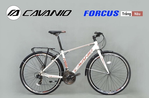 Xe đạp Touring CAVANIO FORCUS (Canada)