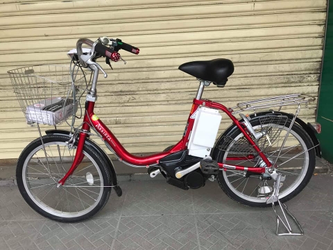 Xe đạp điện brigestone ASISTA japan