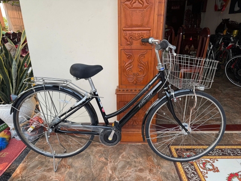 Xe đạp cào cào Nhật Albert