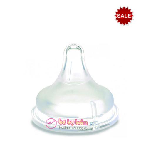 Núm ti Pigeon (nội địa Nhật)