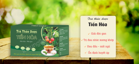 Hộp trà Thảo dược Tiến Hòa