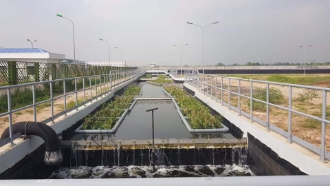 Bãi lọc trồng cây - mô hình xử lý nước thải chi phí thấp, thân thiện môi trường áp dụng tại Việt Nam