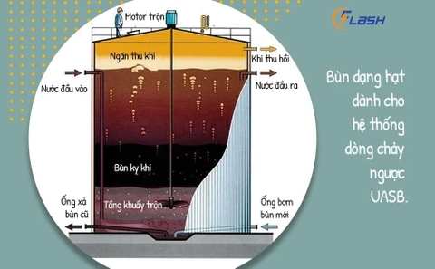 Vai trò của bể phân hủy kỵ khí trong hệ thống xử lý nước thải bằng PP sinh học AAO