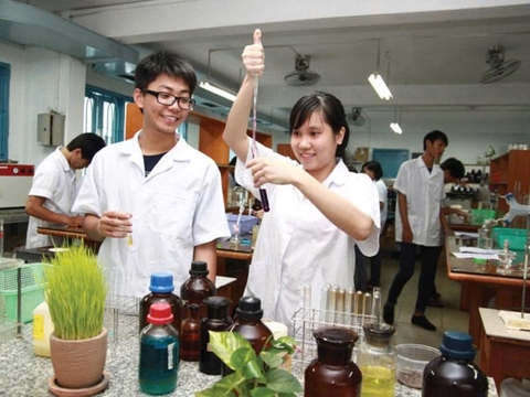 Kỹ Sư Môi Trường Mới Ra Trường Cần Học Gì Để Đi Làm Ngay?