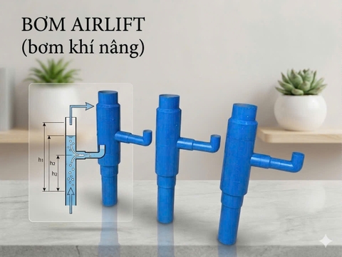 Bơm Ari lift (Bơm khí nâng tuần hoàn) - Trong xử lý nước thải bằng bồn hợp khối