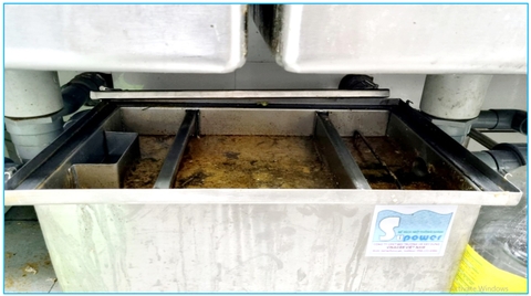 Một thiết bị đánh bật dầu mỡ khỏi đương ống, ngăn ngừa tắc nghẽn 95%.