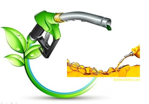 Biodiesel từ dầu mỡ thải! Giải pháp công nghiệp xanh, sạch