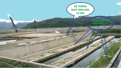 Công nghệ xử lý nước thải phi tập trung (phân tán) - Ưu điểm và khả năng áp dụng nhân rộng