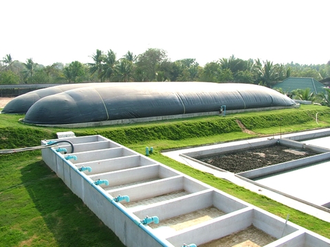 Áp dụng mô hình kinh tế tuần hoàn trong xử lý nước thải, chất thải chăn nuôi bền vững, hiệu quả