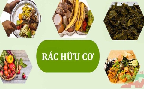Hà Nam (nay thuộc Tỉnh Ninh Bình): Hướng dẫn các phương pháp xử lý rác hữu cơ