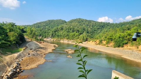 Thư viện ảnh