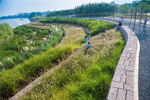 Xử lý nước thải chi phí thấp cho khu vực chưa có hệ thống xử lý tập trung - Giải pháp cho dự án sinh thái