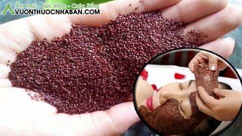 hạt ngũ hoa là gì