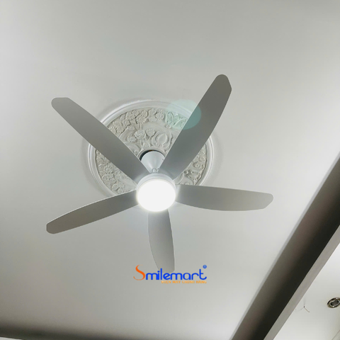 Quạt trần Hòa Phát HQC14203DR màu trắng, có đèn, động cơ đồng, điều khiển từ xa , bảo hành 14 tháng