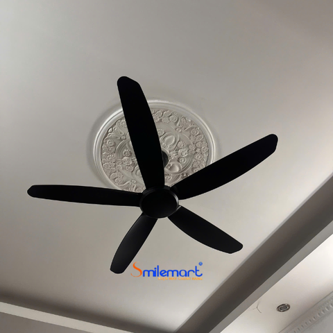 Quạt trần Hòa Phát HQC14202DR màu đen, điều khiển từ xa, bảo hành 14 tháng