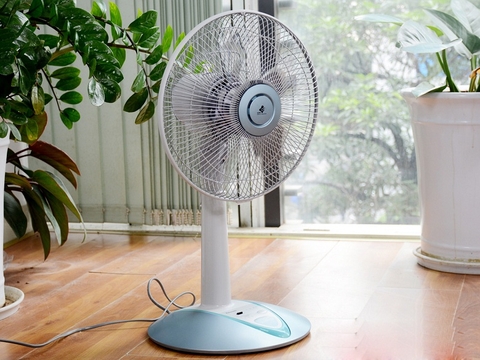 Quạt cây Panasonic F-307KH