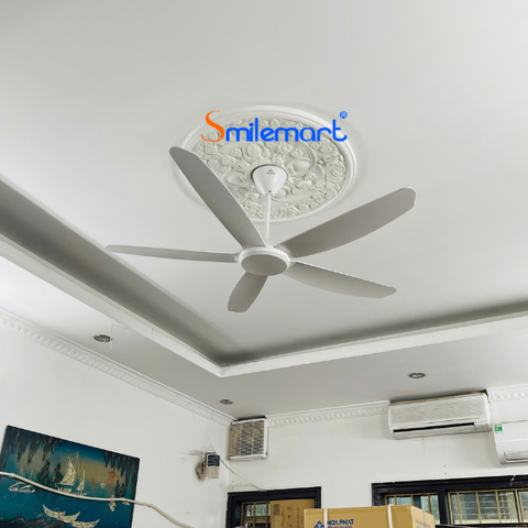 Quạt trần Hòa Phát HQC14201DR màu trắng, động cơ đồng, điều khiển từ xa, bảo hành 14 tháng