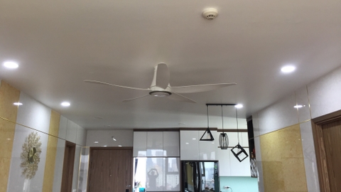 Quạt trần Panasonic 5 cánh F-60TDN-S (ti 21cm)