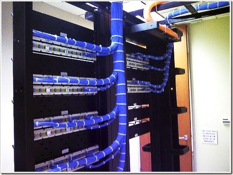 Cách bấm Patch Panel | Digivi.net