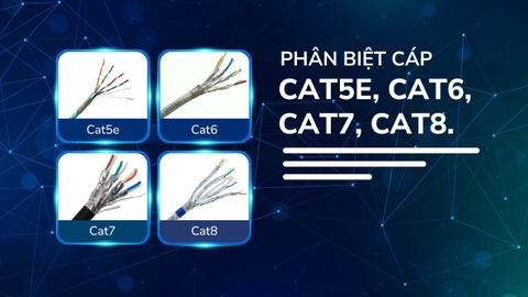 Phân biệt cáp Cat5e, Cat6, Cat7, Cat8