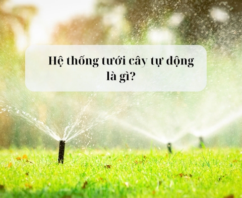 Hệ thống tưới cây tự động là gì? Có công dụng gì?