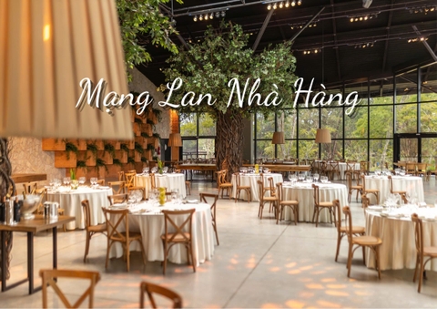 Thi công mạng LAN cho nhà hàng, quán ăn