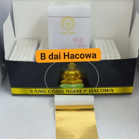 COMBO 2500 LÁ B DAI HACOWA