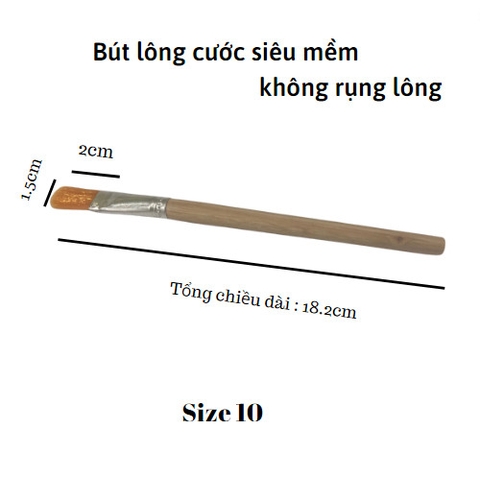 Bút vẽ lông cước S10