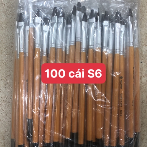 100 cái bút cán vàng S6