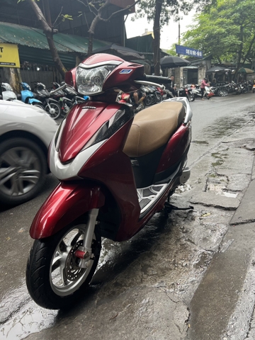 Lead 29D-310AJ