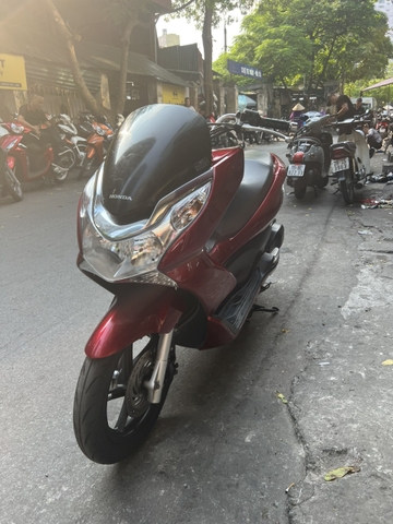 PCX 29B-335BG