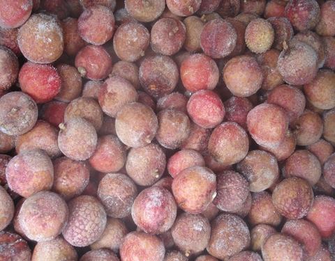 Frozen Lychee