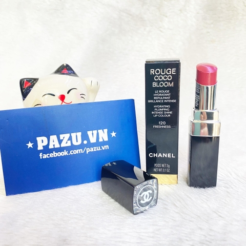 Son Chanel Rouge Coco Bloom - 120 Freshess