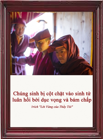 Chúng sinh bị cột chặt vào sinh tử luân hồi bởi dục vọng và bám chấp
