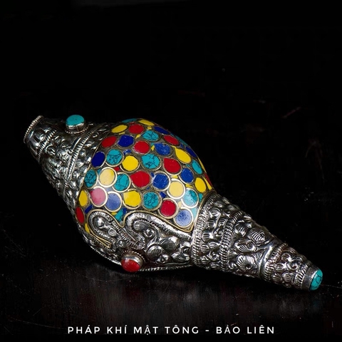 Ốc pháp loa