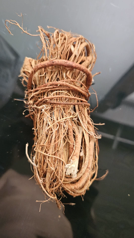 Ngũ Chỉ Mao Đào