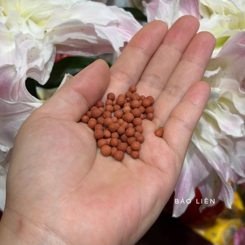 Hương viên của tu viện Rongwo