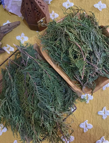Cành Bách Tươi – Hương Cúng Sang, Hỏa Cúng
