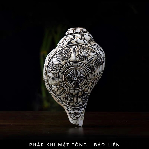 Ốc pháp loa