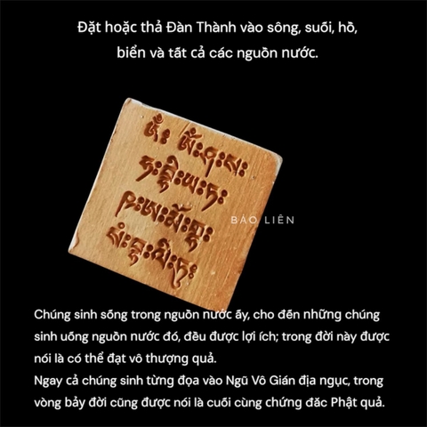 Mani Mandala Long Vương – Pháp Thủy Giải Thoát