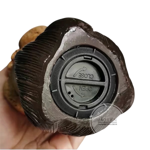 Tomar cúng dường ngũ