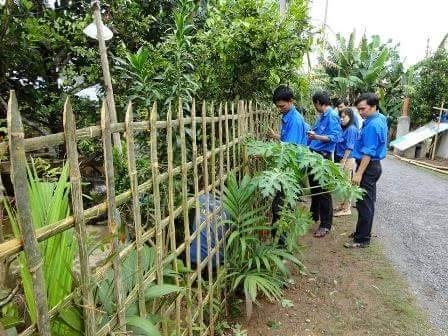 Mẫu hàng rào tre 03