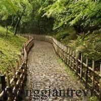 Mẫu hàng rào tre 05