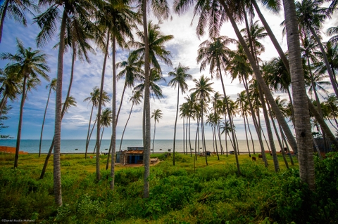 PHAN THIẾT TEAM GALA SÔI ĐỘNG 2N1Đ