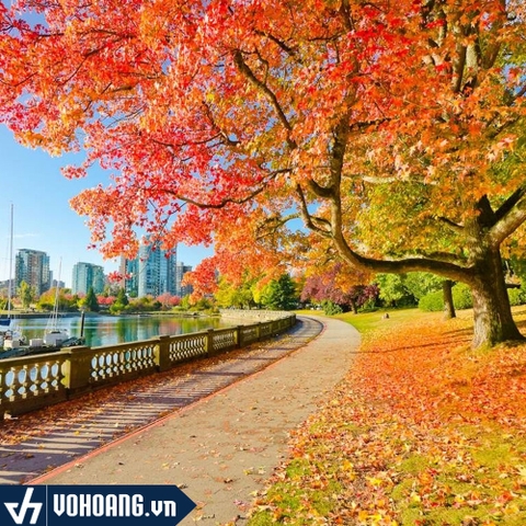 Sim Du Lịch eSIM Canada Tốc Độ Cao - Dung Lượng 2GB Mỗi Ngày