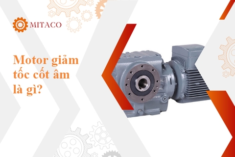 Motor giảm tốc cốt âm và những điều bạn nhất định phải biết