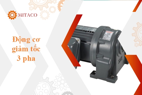 Động cơ giảm tốc 3 pha - Ứng dụng và phân loại motor giảm tốc 3 pha